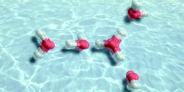 Graphical abstract: Gas phase vibrational spectroscopy of the protonated water pentamer: the role of isomers and nuclear quantum effects