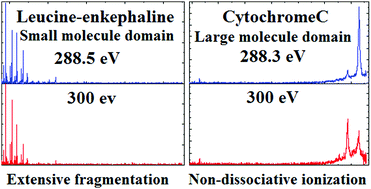 Graphical abstract: Near edge X-ray absorption mass spectrometry of gas phase proteins: the influence of protein size