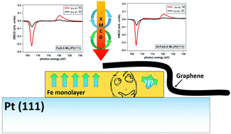 Graphical abstract: The magnetization orientation of Fe ultrathin layers in contact with graphene
