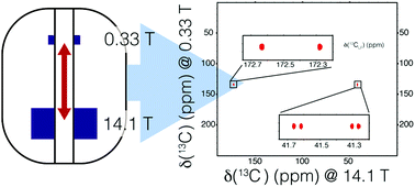 Graphical abstract: High-resolution two-field nuclear magnetic resonance spectroscopy