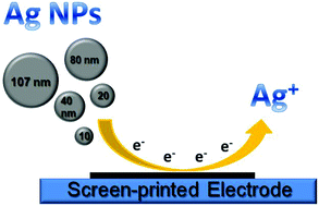 Graphical abstract: Impact electrochemistry on screen-printed electrodes for the detection of monodispersed silver nanoparticles of sizes 10–107 nm