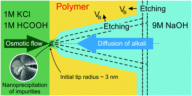 Graphical abstract: Shedding light on the mechanism of asymmetric track etching: an interplay between latent track structure, etchant diffusion and osmotic flow