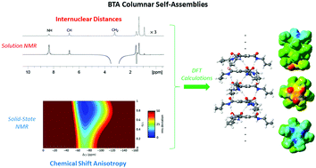 Graphical abstract: Columnar self-assembly of N,N′,N′′-trihexylbenzene-1,3,5-tricarboxamides investigated by means of NMR spectroscopy and computational methods in solution and the solid state