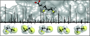 Graphical abstract: Regarding the torsional flexibility of the dihydrolipoic acid's pharmacophore: 1,3-propanedithiol