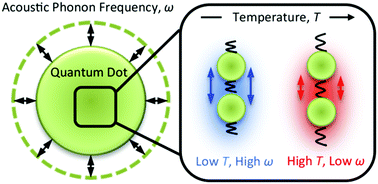 Graphical abstract: Temperature dependence of acoustic vibrations of CdSe and CdSe–CdS core–shell nanocrystals measured by low-frequency Raman spectroscopy