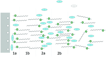 Graphical abstract: Direct measurements of ionic liquid layering at a single mica–liquid interface and in nano-films between two mica–liquid interfaces