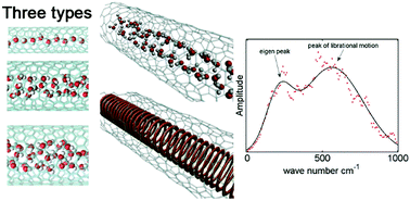 Graphical abstract: Water transport within carbon nanotubes on a wave