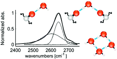 Graphical abstract: Structure and dynamics of water molecules confined in triglyceride oils