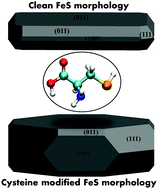 Graphical abstract: Surface and shape modification of mackinawite (FeS) nanocrystals by cysteine adsorption: a first-principles DFT-D2 study