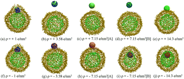 Graphical abstract: Interaction between charged nanoparticles and vesicles: coarse-grained molecular dynamics simulations