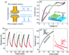 Graphical abstract: Electrochemical-reaction-induced synaptic plasticity in MoOx-based solid state electrochemical cells