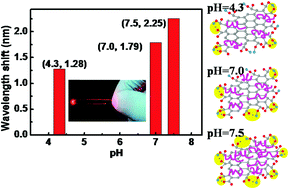 Graphical abstract: Understanding the pH-dependent interaction between graphene oxide and single-stranded DNA through a fiber-optic interferometer