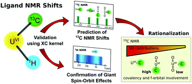 Graphical abstract: Giant spin–orbit effects on 1H and 13C NMR shifts for uranium(vi) complexes revisited: role of the exchange–correlation response kernel, bonding analyses, and new predictions