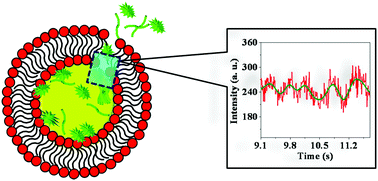 Graphical abstract: Amyloid beta peptides inside a reconstituted cell-like liposomal system: aggregation, FRET, fluorescence oscillations and solvation dynamics