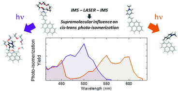 Graphical abstract: Supramolecular influence on cis–trans isomerization probed by ion mobility spectrometry