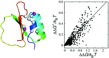 Graphical abstract: Influences of heterogeneous native contact energy and many-body interactions on the prediction of protein folding mechanisms