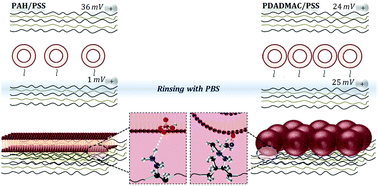 Graphical abstract: The effect of top-layer chemistry on the formation of supported lipid bilayers on polyelectrolyte multilayers: primary versus quaternary amines