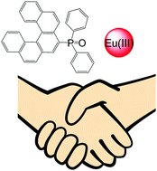Graphical abstract: Visible luminescent lanthanide ions and a large π-conjugated ligand system shake hands