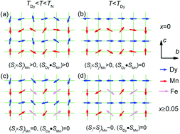 Graphical abstract: The crucial role of Mn spiral spin order in stabilizing the Dy–Mn exchange striction in multiferroic DyMnO3