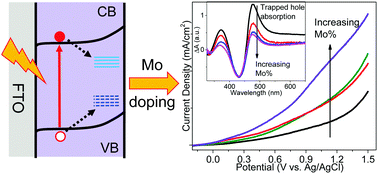 Graphical abstract: The effect of Mo doping on the charge separation dynamics and photocurrent performance of BiVO4 photoanodes