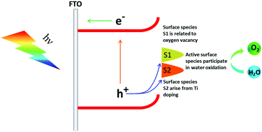 Graphical abstract: New insight into the roles of oxygen vacancies in hematite for solar water splitting