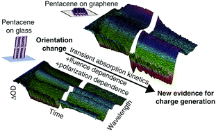 Graphical abstract: Triplet exciton dissociation and electron extraction in graphene-templated pentacene observed with ultrafast spectroscopy