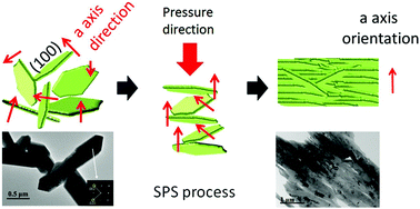 Graphical abstract: Enhanced thermoelectric properties of SnSe polycrystals via texture control
