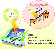 Graphical abstract: Photosensitive organic field effect transistors: the influence of ZnPc morphology and bilayer dielectrics for achieving a low operating voltage and low bias stress effect