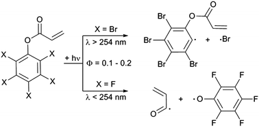 Graphical abstract: Peculiarities of the photoinitiator-free photopolymerization of pentabrominated and pentafluorinated aromatic acrylates and methacrylates