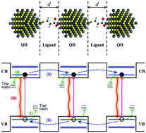 Graphical abstract: Ligand-dependent exciton dynamics and photovoltaic properties of PbS quantum dot heterojunction solar cells