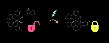 Graphical abstract: Transient photocyclization in ruthenium(ii) polypyridine complexes of indolamines