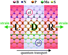Graphical abstract: Tuning quantum electron and phonon transport in two-dimensional materials by strain engineering: a Green's function based study