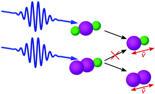 Graphical abstract: Identification of photofragmentation patterns in trihalide anions by global analysis of vibrational wavepacket dynamics in broadband transient absorption data