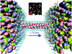 Graphical abstract: Separation of water–ethanol solutions with carbon nanotubes and electric fields