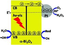 Graphical abstract: Enhanced visible light photocatalysis over Pt-loaded Bi2O3: an insight into its photogenerated charge separation, transfer and capture