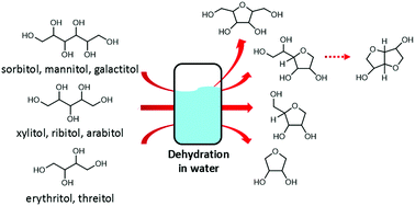 Graphical abstract: Intramolecular dehydration of biomass-derived sugar alcohols in high-temperature water