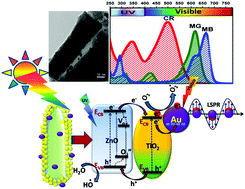 Graphical abstract: Design and application of Au decorated ZnO/TiO2 as a stable photocatalyst for wide spectral coverage