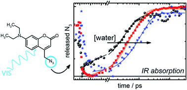 Graphical abstract: Picosecond activation of the DEACM photocage unravelled by VIS-pump-IR-probe spectroscopy