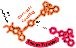 Graphical abstract: Connectivity pattern modifies excited state relaxation dynamics of fluorophore–photoswitch molecular dyads