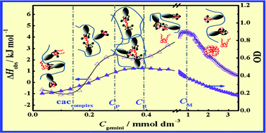 Graphical abstract: Cationic gemini surfactant as a dual linker for a cholic acid-modified polysaccharide in aqueous solution: thermodynamics of interaction and phase behavior