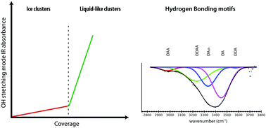 Graphical abstract: Coexistence of ice clusters and liquid-like water clusters on the Ru(0001) surface