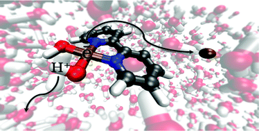 Graphical abstract: Introducing a closed system approach for the investigation of chemical steps involving proton and electron transfer; as illustrated by a copper-based water oxidation catalyst