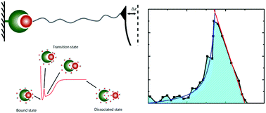 Graphical abstract: A physical picture for mechanical dissociation of biological complexes: from forces to free energies