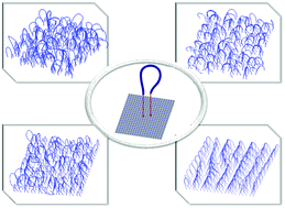 Graphical abstract: Enhancement of surface nonwettability by grafting loops