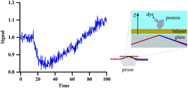 Graphical abstract: Second-harmonic phase determination by real-time in situ interferometry