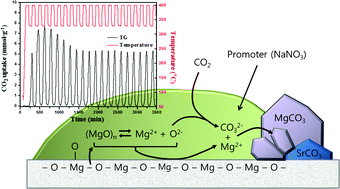 Graphical abstract: Mechanisms of absorption and desorption of CO2 by molten NaNO3-promoted MgO