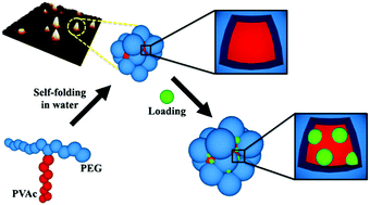 Graphical abstract: Poly(ethylene glycol)-graft-poly(vinyl acetate) single-chain nanoparticles for the encapsulation of small molecules