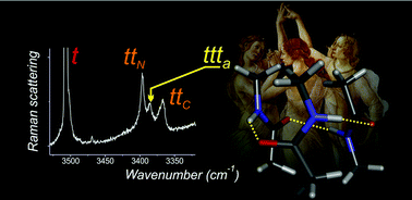 Graphical abstract: Correcting the record: the dimers and trimers of trans-N-methylacetamide