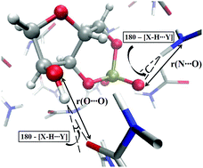 Graphical abstract: Stability of 2′,3′ and 3′,5′ cyclic nucleotides in formamide and in water: a theoretical insight into the factors controlling the accumulation of nucleic acid building blocks in a prebiotic pool