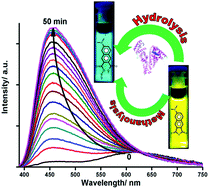 Graphical abstract: Spectroscopic investigation of bio-mimetic solvolysis of 6-(N,N-dimethylamino)-2,3-naphthalic anhydride in confined nanocavities